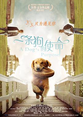 娇女嗯啊好猛h古代将军安软软