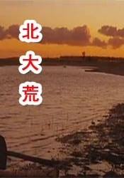 91九色porny在线观看